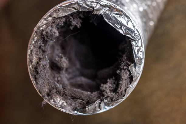 Best HVAC Air Duct Cleaning  in Lorado Springs, CO